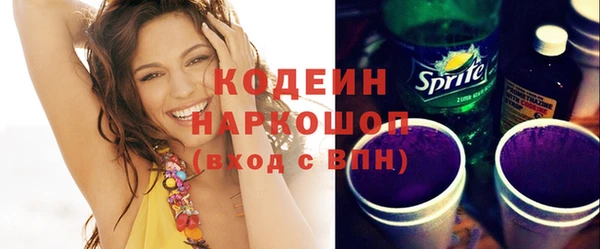сатива Кулебаки