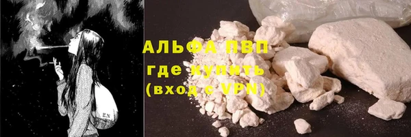 сатива Кулебаки