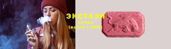 сатива Кулебаки
