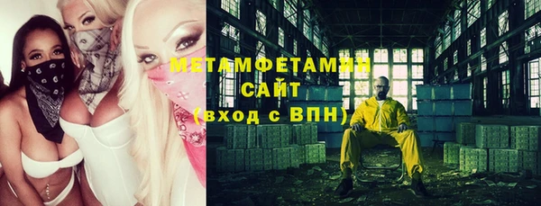 сатива Кулебаки