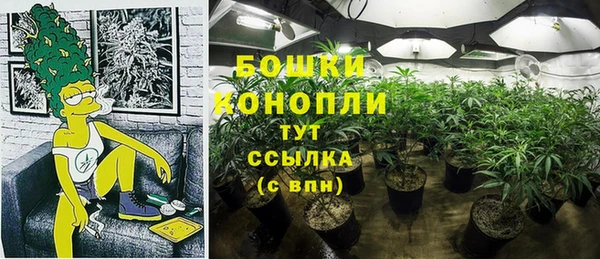 сатива Кулебаки