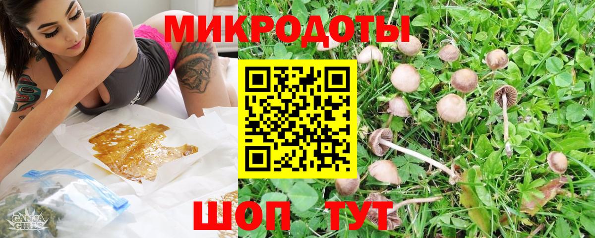 Галлюциногенные грибы Psilocybine cubensis  Вход с VPN  Учалы 
